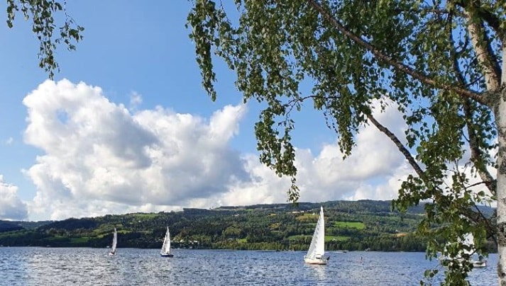 InterCity-regatta lørdag 5. september